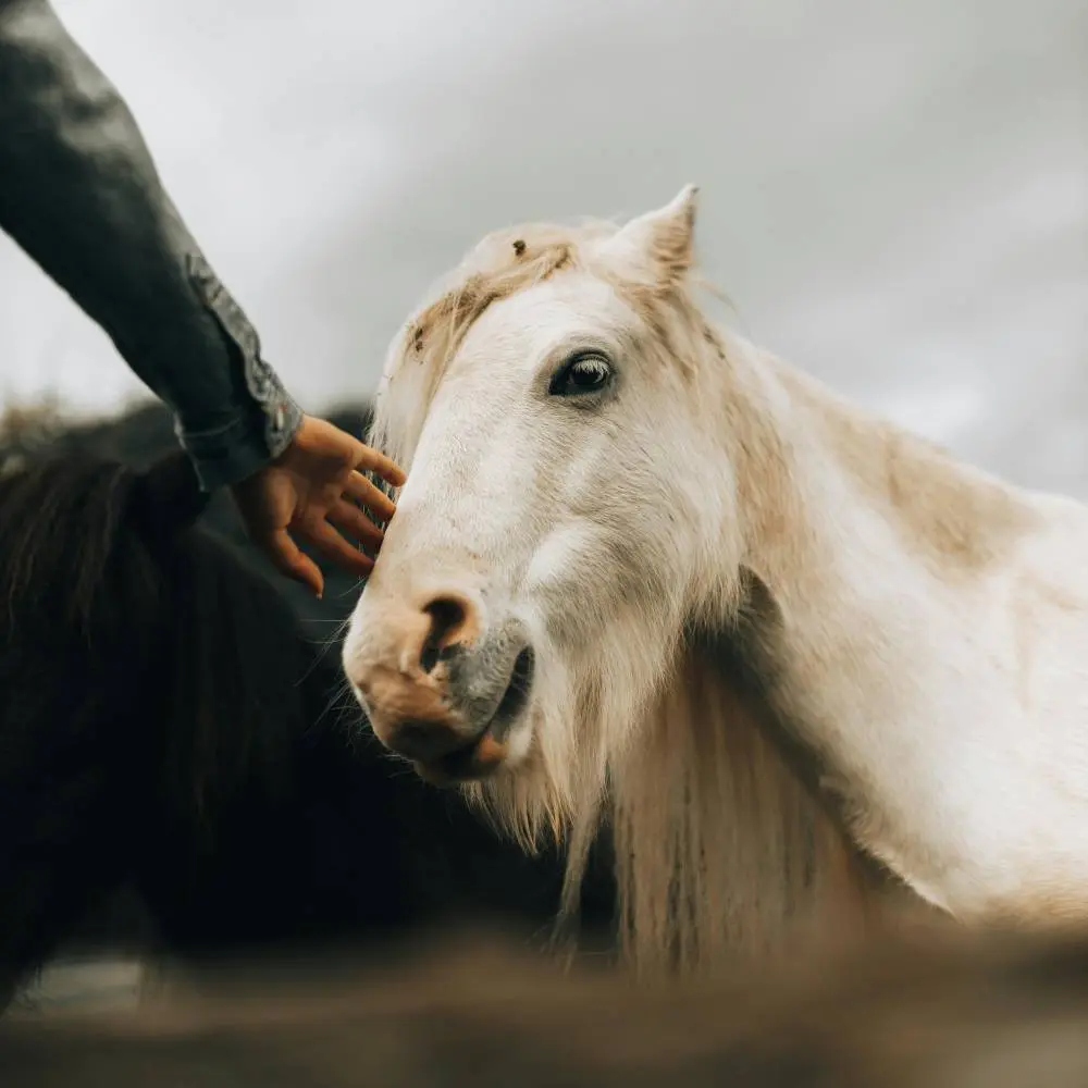 Secrets to Becoming a Professional Photographer
